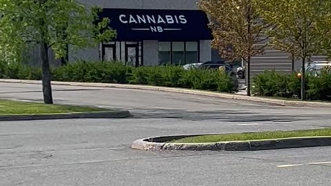 NB Cannabis Alarm 🚨 going off ! Friday, June 6, 2025 at 9:37 AM
