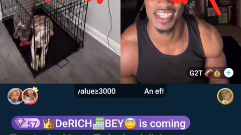 DROSKI & 21BADBITCH BUY A 2ND DOG LINE WITH G2T