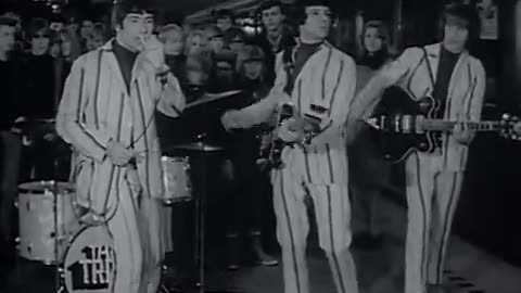 The Troggs - Wild Thing
