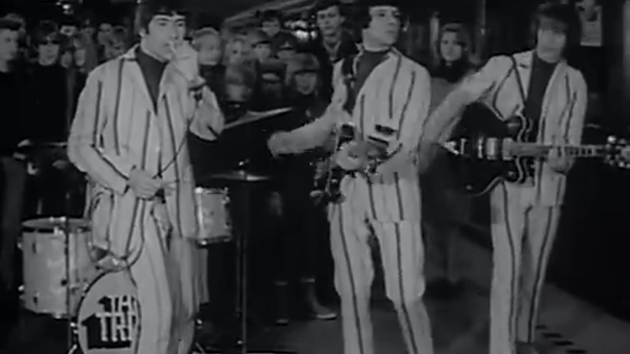 The Troggs - Wild Thing