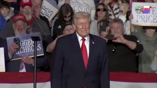 TWO CATS U.S. POLITICAL NEWS