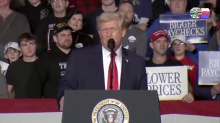 TWO CATS U.S. POLITICAL NEWS