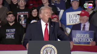 TWO CATS U.S. POLITICAL NEWS