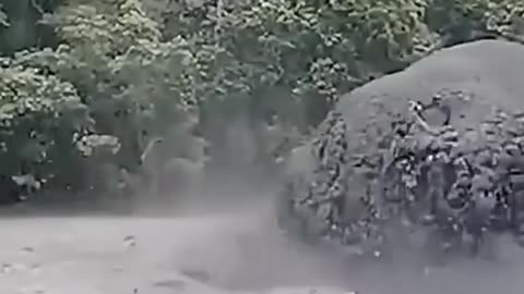 Nature Distraction