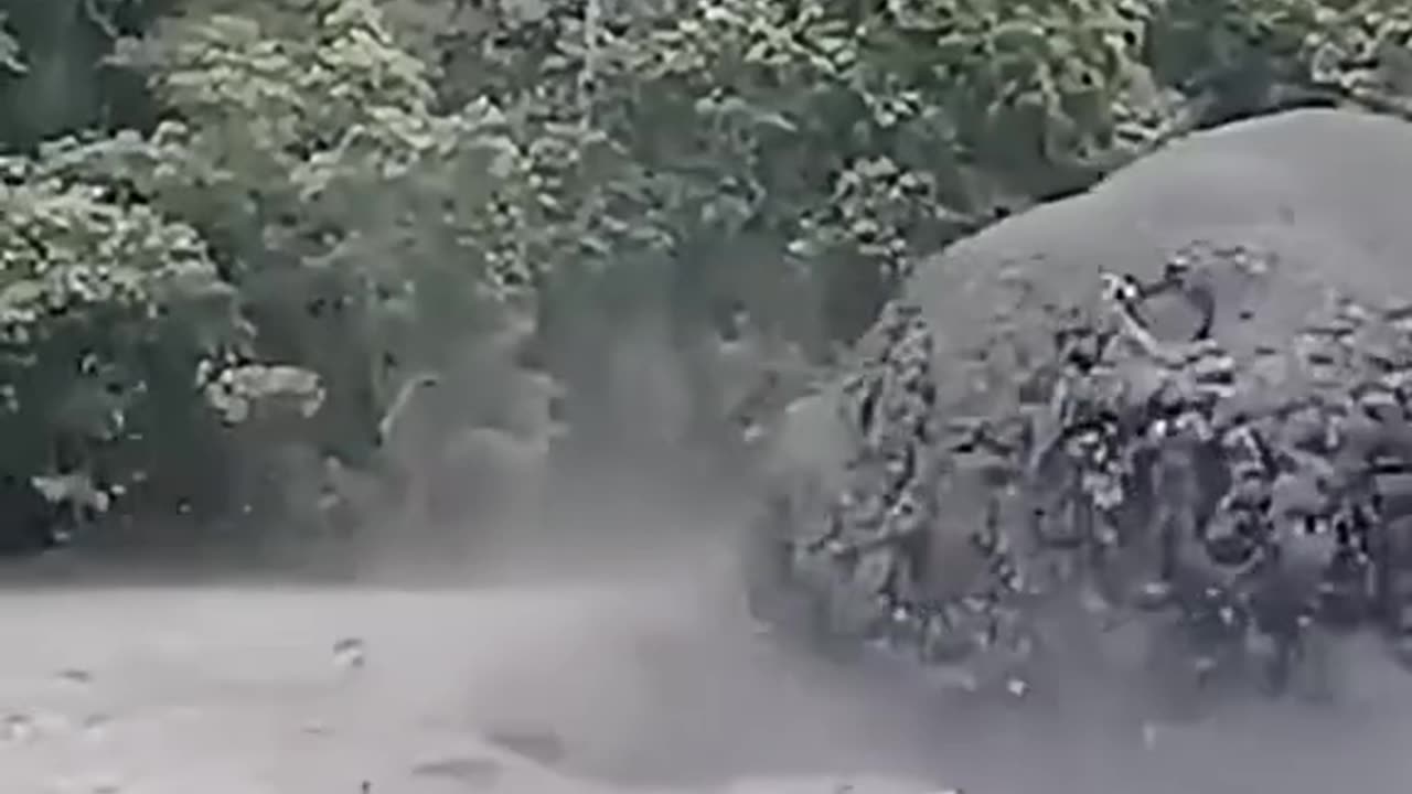 Nature Distraction