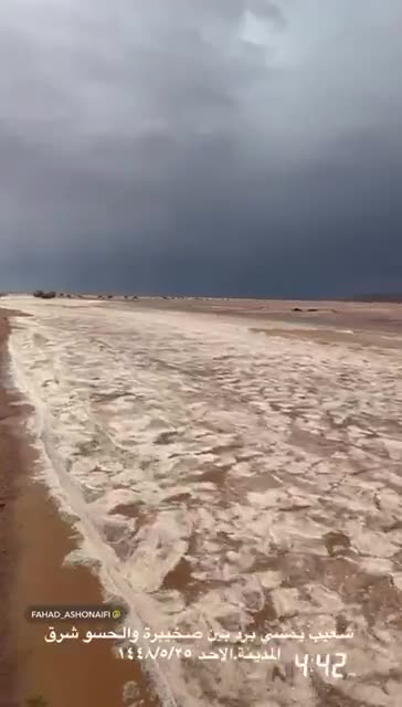 🇸🇦SAUDI ARABIA