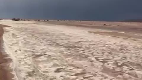 🇸🇦SAUDI ARABIA