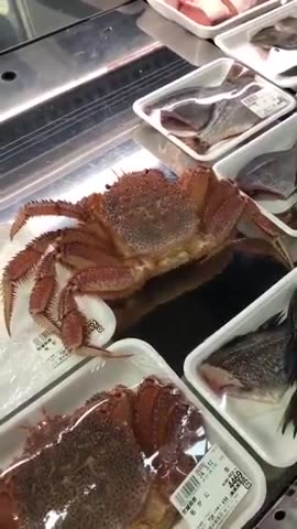 CRAB CAMES OUT FROM FOOD PACKAGING FUCK YOU YOU YELLOW RAT FUCKS