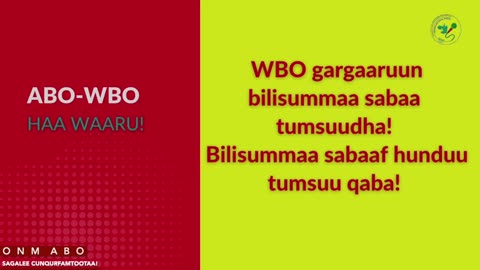 Gabaasa Gumaacha ONM-ABO Hagayya 4-2025 itti dhiyaadhaa!