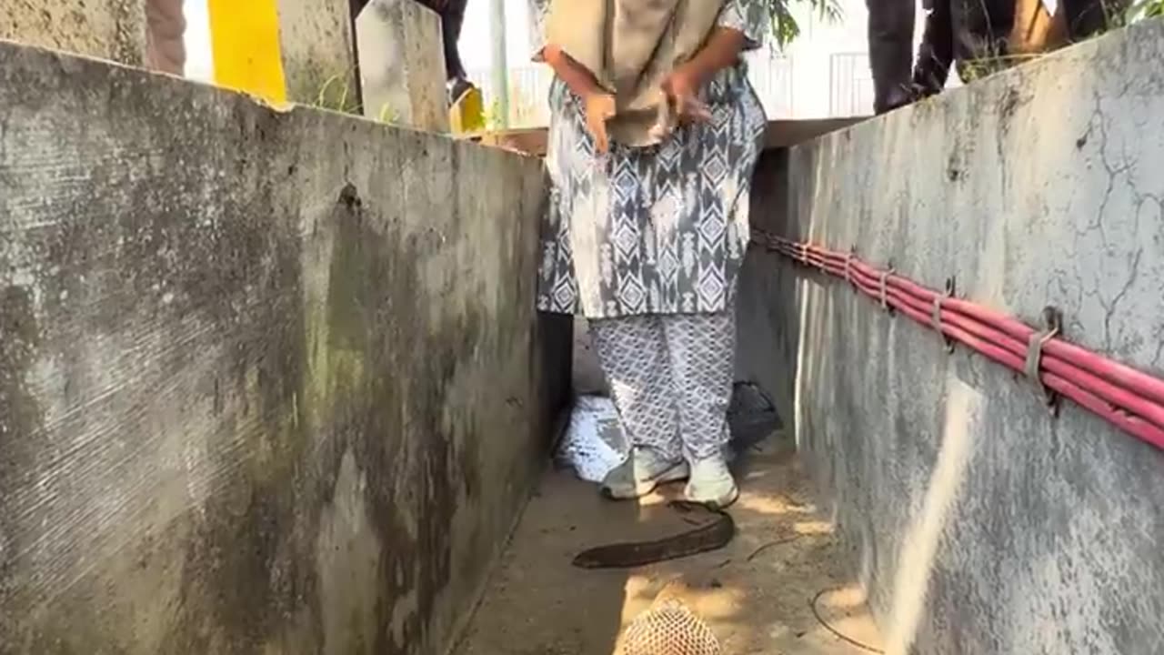 Female catch dangerous snake 🐍