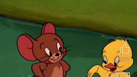 Swimming lessons by jerry