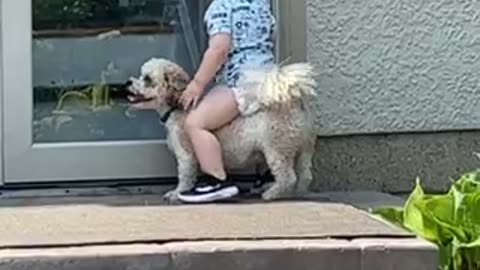 Kid Falls Off Puppy