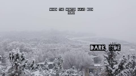 Winter Snow