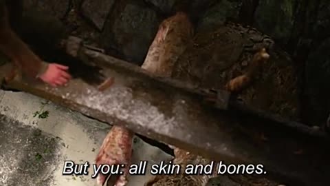 Jack the giant slayer