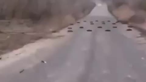 Casual Drive