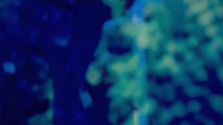 WAV - Memory Capturing