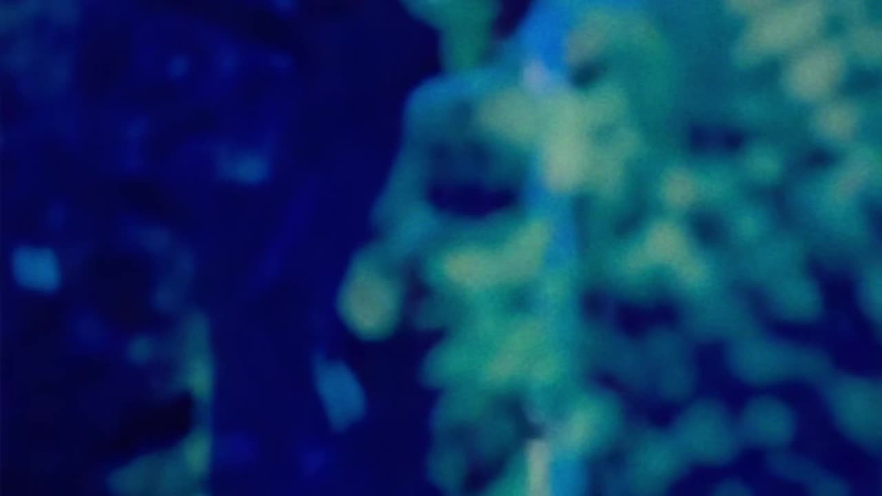 WAV - Memory Capturing
