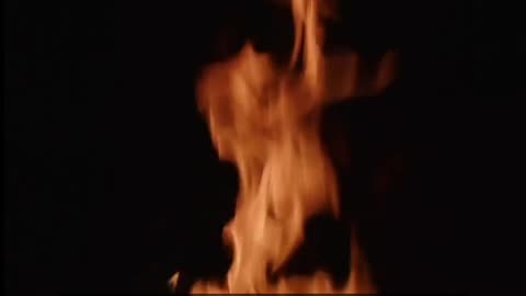 Daily Horoscope | Aries 🌟