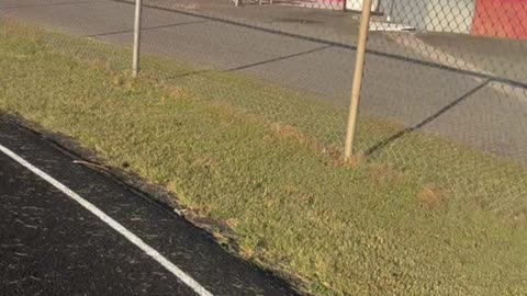 The South Stanly Gridiron Gang - Coach Shankle Changing Lives On Slaughter At A Time