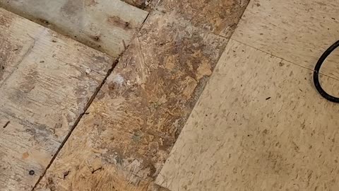 Handyman Floor Repair