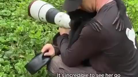 Monkey remembers the man who freed her from an illegal wildlife trade