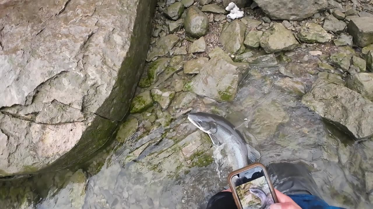 My first Lake Trout! (It was NOT easy!) Lower Niagara River & Devil's Hole Cave