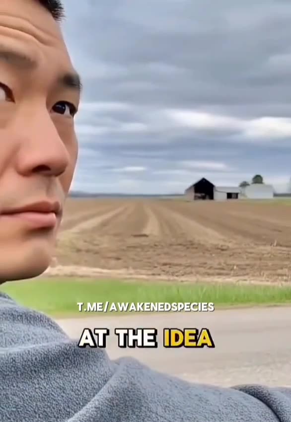 The McDonald's Mystery (Read Description)