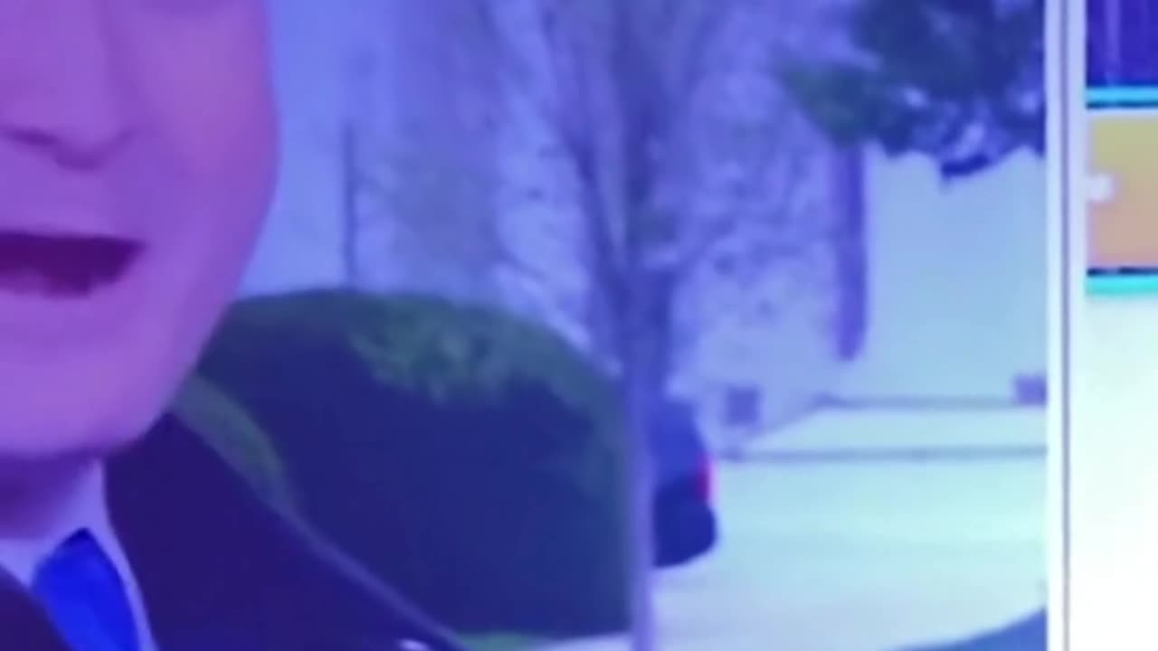 Fox News Reporter Attacked by Bird Live at White House