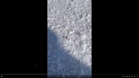 Quick smile - 16 sec clip - That was cool