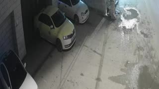 Members of an ultra-Orthodox cult, led by convicted sex offender Rabbi Eliezer Berland,