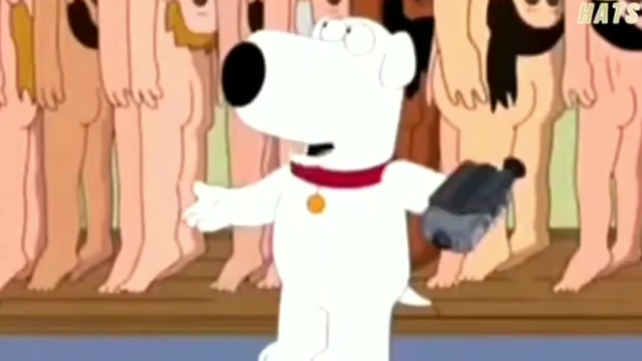 Truth in your face-Bodysuit reference -Family Guy