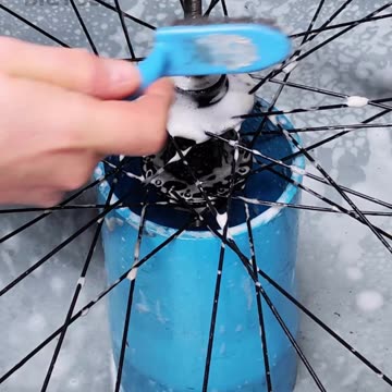 A guide to replacing freewheel bicycle wheels and cleaning the hub.