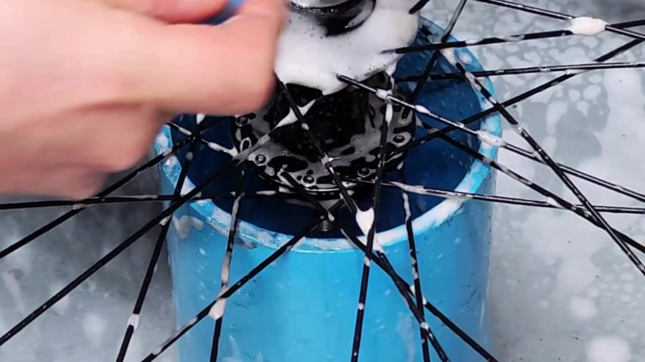 A guide to replacing freewheel bicycle wheels and cleaning the hub.