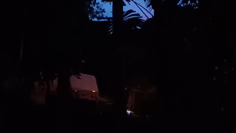 20.11.2025 Out of Control Kuranda