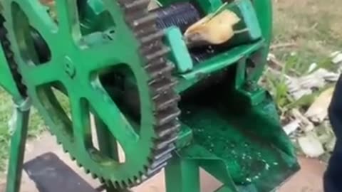 😂💡 How Sugar Cane Juice is Made: A Surprising Process! | FunFM