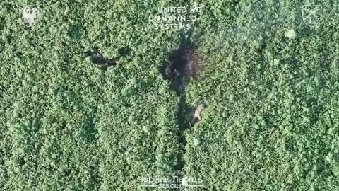 🎯💥 Ukraine Russia War | Russian Soldiers Eliminated by Drone Attacks in Sumy Region | RCF