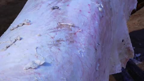 皮影戏起源于，西汉时期距今已有2000多年的历史，被列为世界非物质文化遗产代表作，济公舞光影，非遗绽新辉#百young非遗计划 #非遗守护人 #抖音非遗计划 #皮影戏 #每日精选