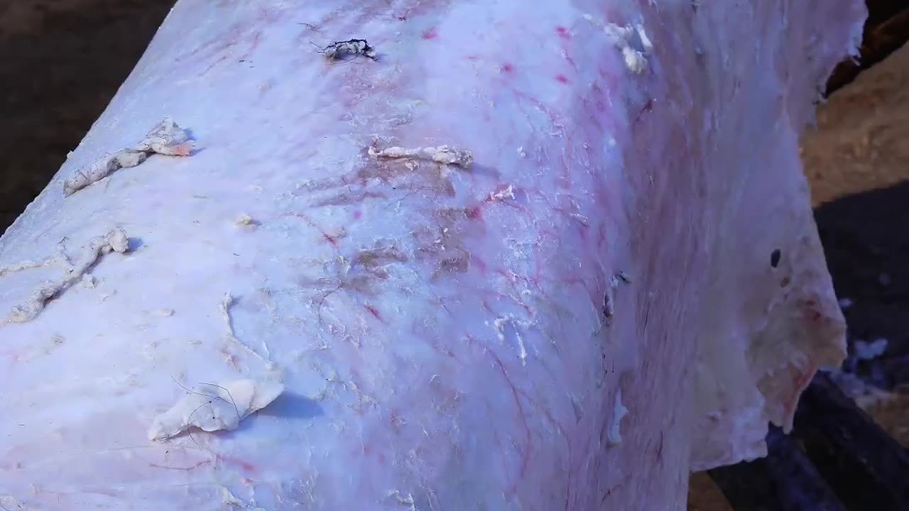 皮影戏起源于,西汉时期距今已有2000多年的历史,被列为世界非物质文化遗产代表作,济公舞光影,非遗绽新辉#百young非遗计划 #非遗守护人 #抖音非遗计划 #皮影戏 #每日精选