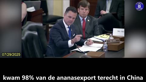 【NL】De CCP verandert het Taiwanese verkiezingsproces van 2020 door ananasboeren te beïnvloeden