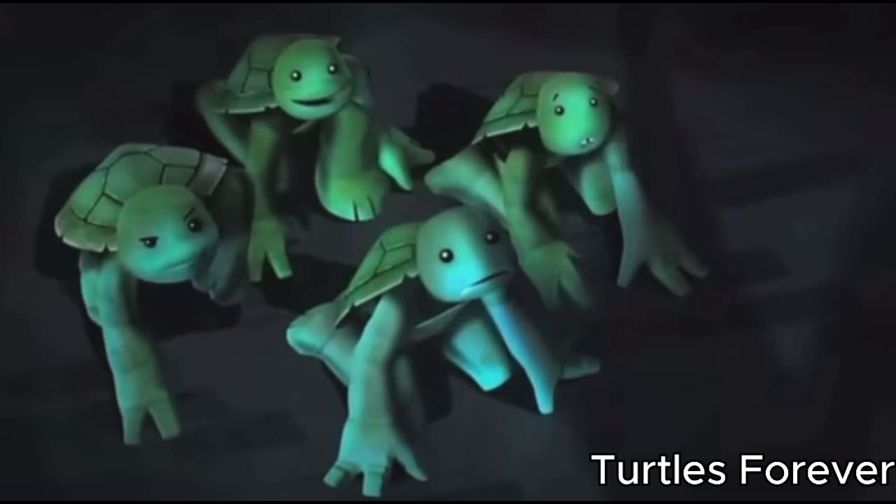 Turtles forever