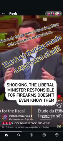 A stupid nigger in Canadian politics who knows nothing about gun ownership laws