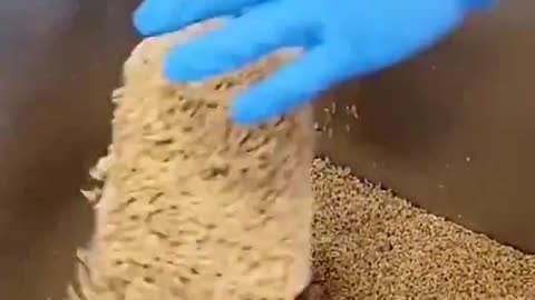 This is a technology that can produce fresh fodder all year round