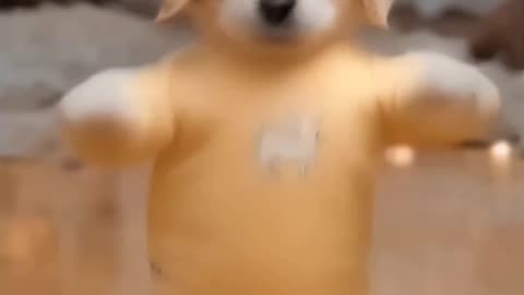 Dancing Puppy Deli 🐶😂