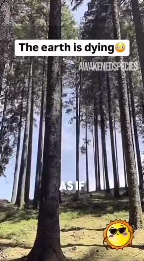 100% this is not normal