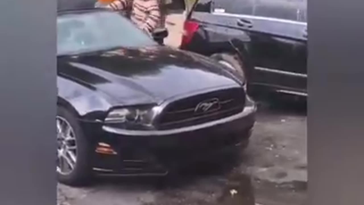 111 All the niggers in the hood say it's all good #111