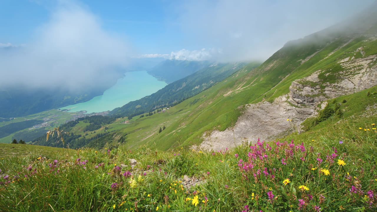 SWITZERLAND, SWISS ALPS, NATURE VIEWS #switzerland #shorts #nature