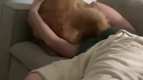 😂🐶 You Won't Believe This Dog Sitting on Owner's Face! | FunFM