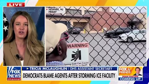 DHS Assistant Secretary Responds to Democrats' Crying Victim After Storming ICE Facility