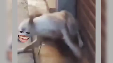 Funny comedy
