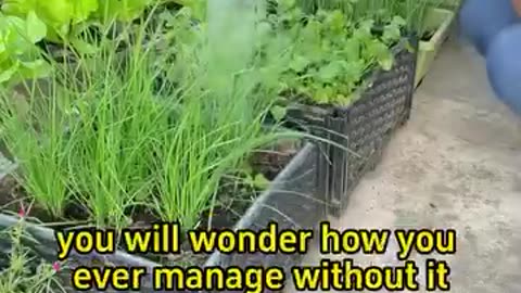 Vinegar not good for plants???